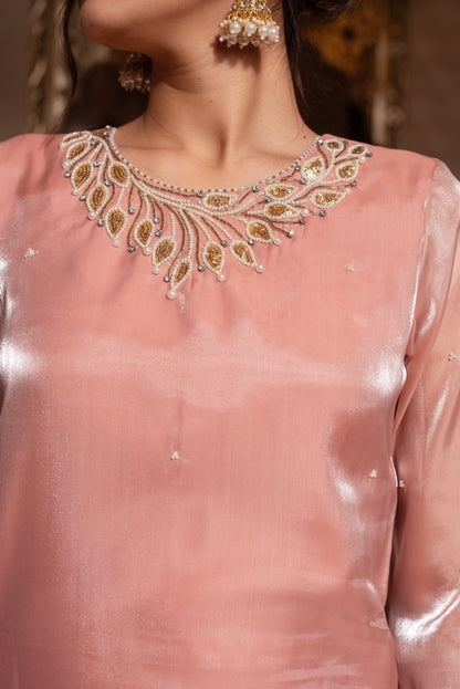 Baby Pink Handwork Straight Suit Set