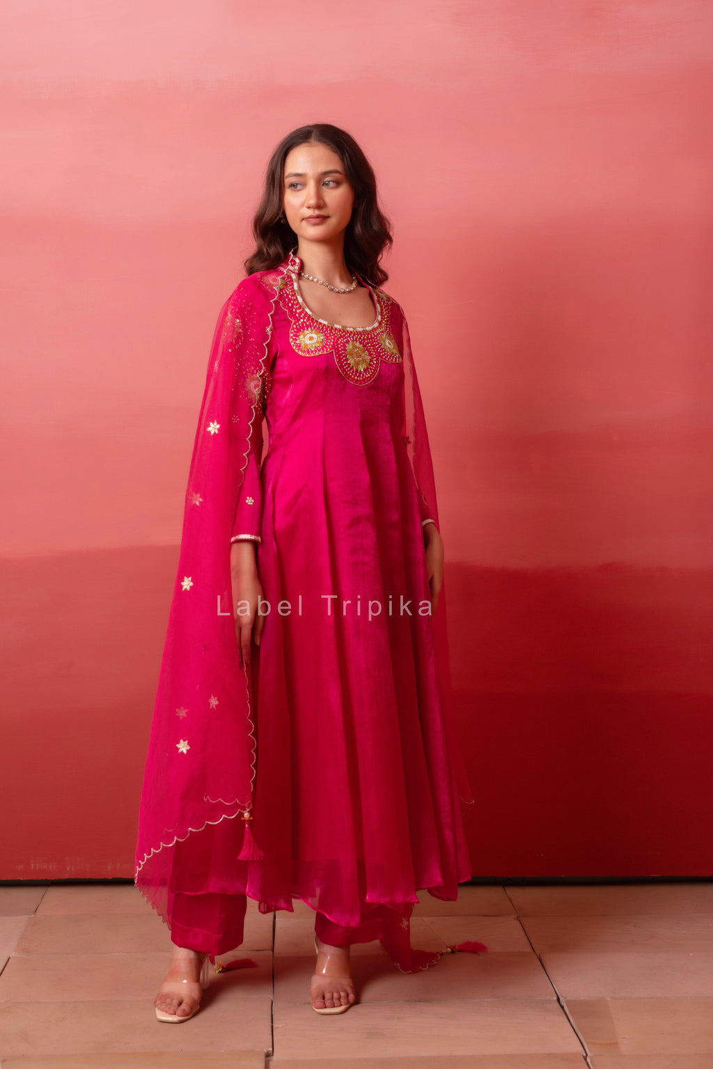 Rani Organza Handwork Anarkali Set With Organza Dupatta - LabelTrpika | Premium Womens Wear